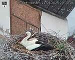 Capi_Dubne_20250521_203004.jpg