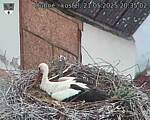 Capi_Dubne_20250521_203502.jpg