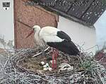 Capi_Dubne_20250521_204502.jpg