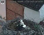 Capi_Dubne_20250521_205503.jpg