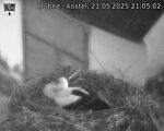 Capi_Dubne_20250521_210502.jpg