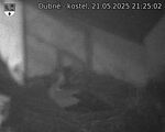 Capi_Dubne_20250521_212502.jpg