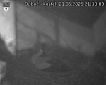 Capi_Dubne_20250521_213003.jpg