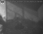 Capi_Dubne_20250521_215003.jpg