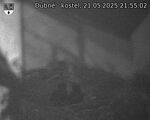 Capi_Dubne_20250521_215502.jpg