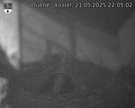 Capi_Dubne_20250521_220502.jpg