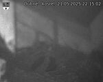 Capi_Dubne_20250521_221502.jpg