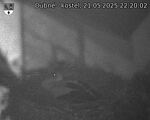 Capi_Dubne_20250521_222002.jpg
