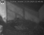 Capi_Dubne_20250521_224502.jpg