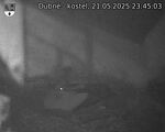Capi_Dubne_20250521_234503.jpg