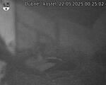 Capi_Dubne_20250522_002502.jpg