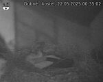 Capi_Dubne_20250522_003502.jpg