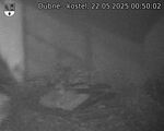 Capi_Dubne_20250522_005002.jpg