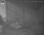 Capi_Dubne_20250522_005503.jpg