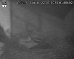 Capi_Dubne_20250522_010002.jpg