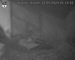Capi_Dubne_20250522_011502.jpg