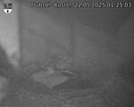 Capi_Dubne_20250522_012503.jpg