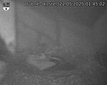 Capi_Dubne_20250522_014502.jpg
