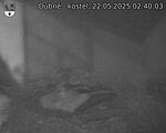 Capi_Dubne_20250522_024003.jpg