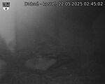 Capi_Dubne_20250522_024502.jpg