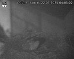 Capi_Dubne_20250522_040502.jpg