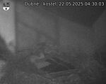 Capi_Dubne_20250522_043003.jpg