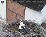 Capi_Dubne_20250522_055502.jpg