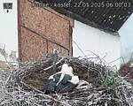 Capi_Dubne_20250522_060003.jpg
