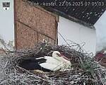 Capi_Dubne_20250522_070503.jpg