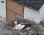 Capi_Dubne_20250522_100003.jpg