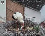 Capi_Dubne_20250522_101502.jpg