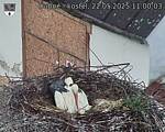 Capi_Dubne_20250522_110003.jpg