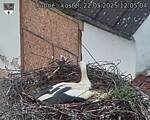 Capi_Dubne_20250522_120504.jpg