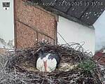 Capi_Dubne_20250522_133504.jpg
