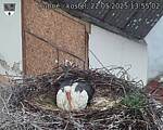 Capi_Dubne_20250522_135502.jpg