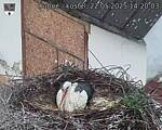 Capi_Dubne_20250522_142003.jpg