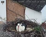 Capi_Dubne_20250522_143504.jpg