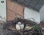 Capi_Dubne_20250522_153502.jpg