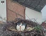 Capi_Dubne_20250522_155003.jpg