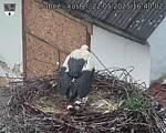 Capi_Dubne_20250522_164002.jpg