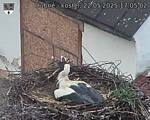 Capi_Dubne_20250522_170502.jpg