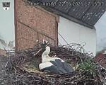 Capi_Dubne_20250522_171503.jpg