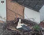Capi_Dubne_20250522_175003.jpg