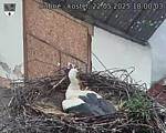 Capi_Dubne_20250522_180003.jpg