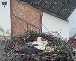 Capi_Dubne_20250522_181002.jpg