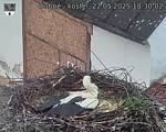 Capi_Dubne_20250522_183002.jpg