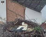 Capi_Dubne_20250522_185502.jpg