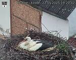 Capi_Dubne_20250522_192002.jpg