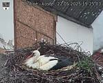 Capi_Dubne_20250522_192503.jpg