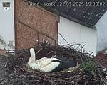 Capi_Dubne_20250522_193002.jpg